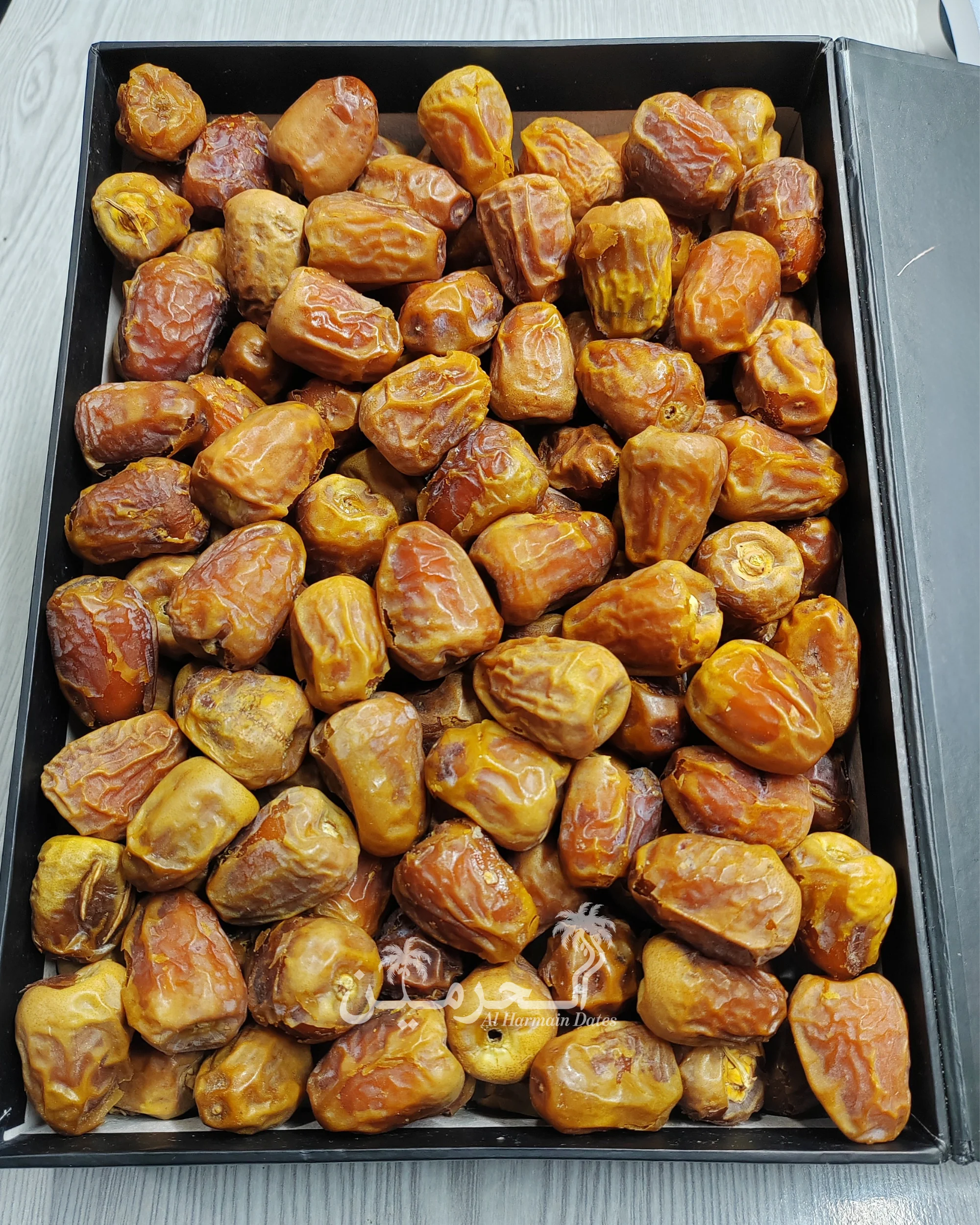 Medium Dana - Sukkari Gold - Image 3